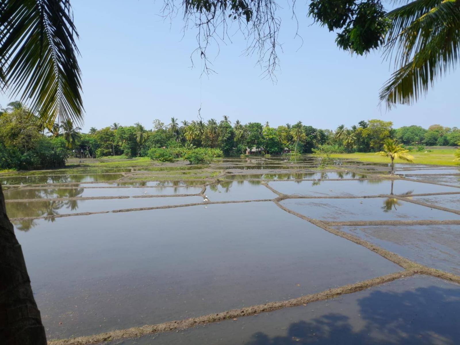 Man Guest Polonnaruwa Hotel Eksteriør billede