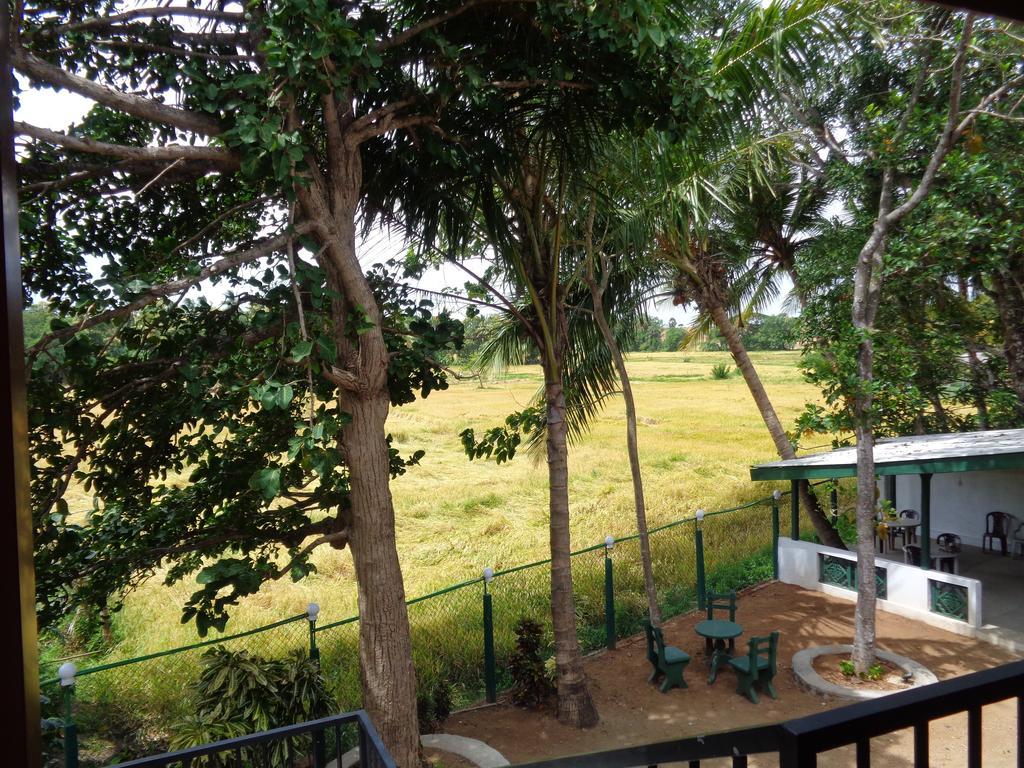 Man Guest Polonnaruwa Hotel Eksteriør billede