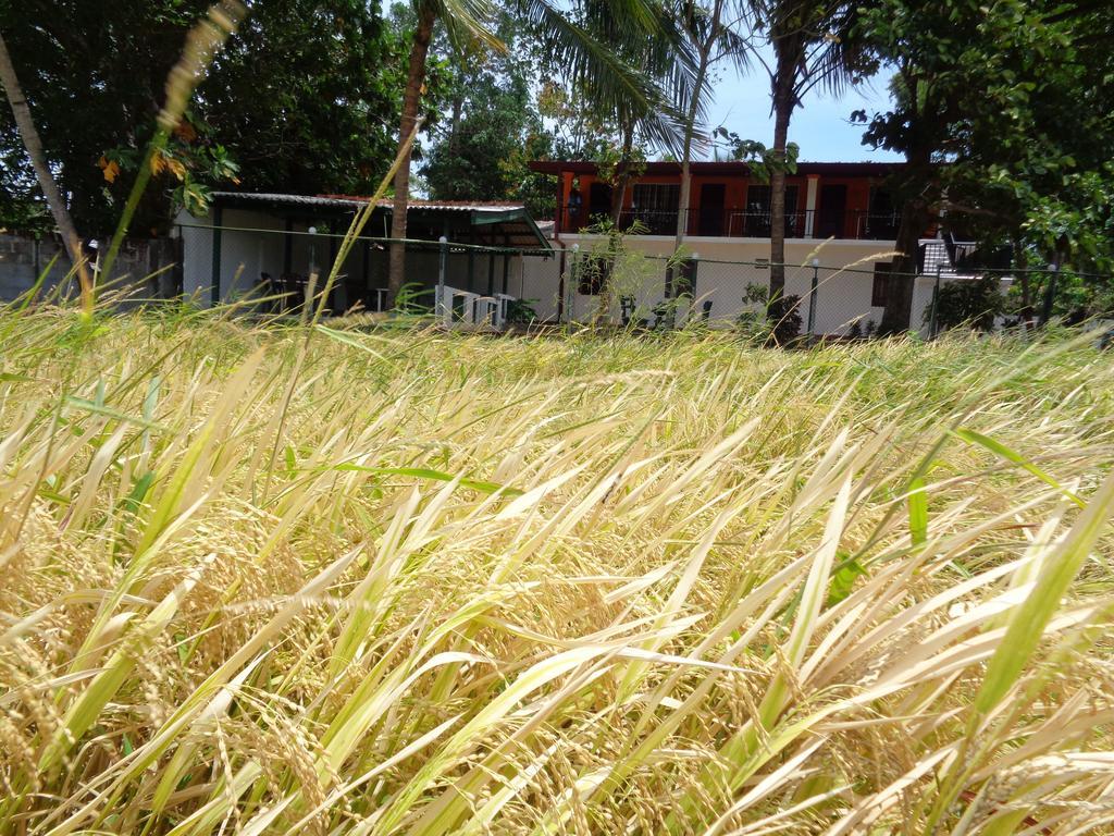 Man Guest Polonnaruwa Hotel Eksteriør billede